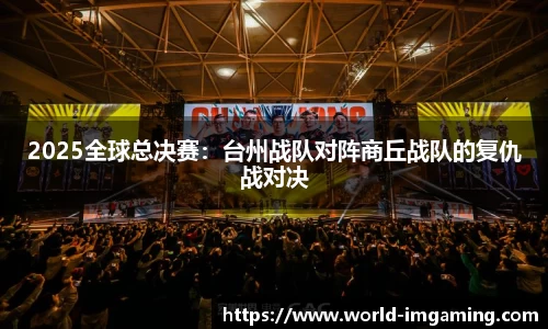 IM电竞官方网站